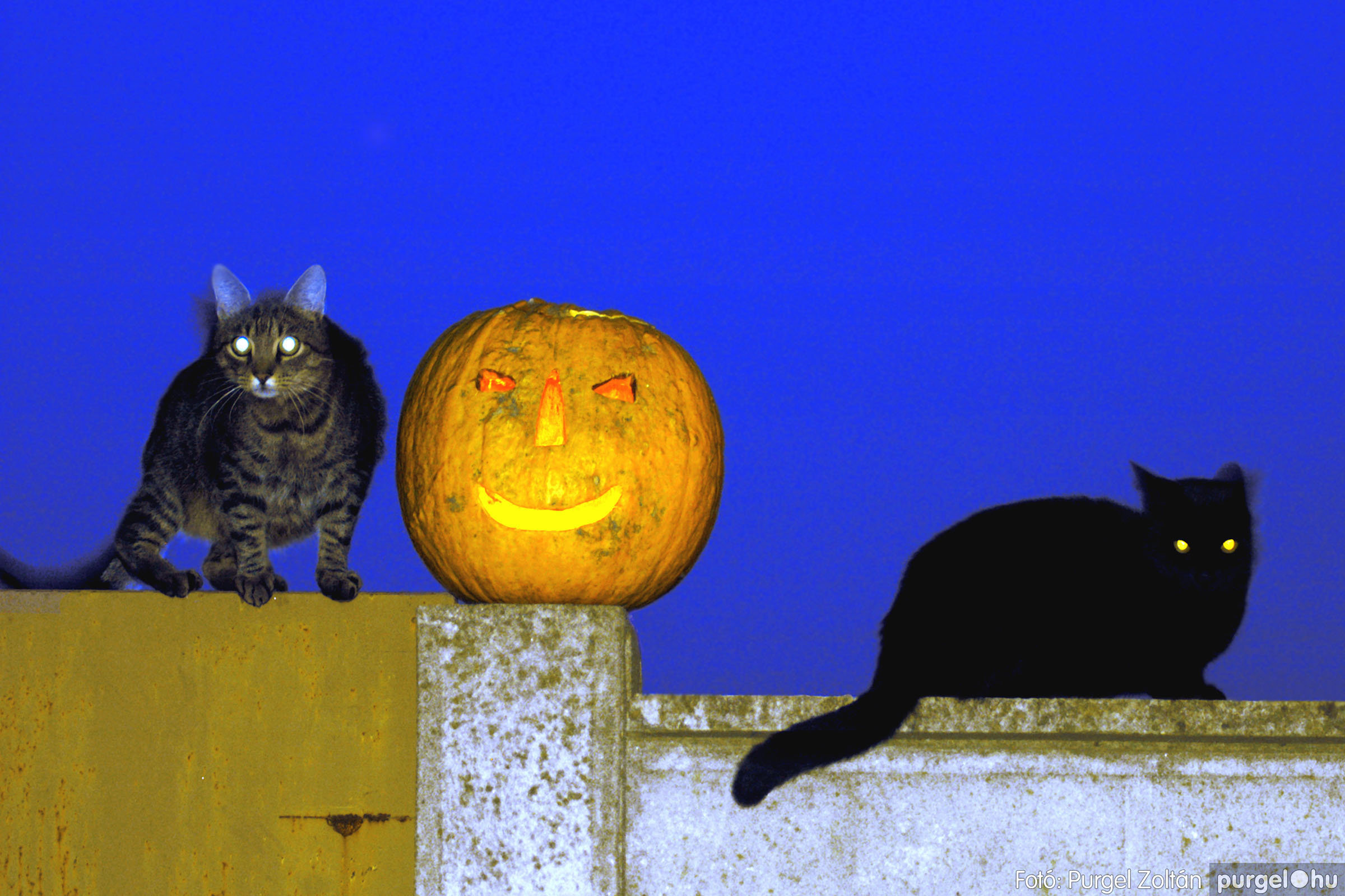 2005.11.01. Halloween napján - Fotókː PURGEL ZOLTÁN©