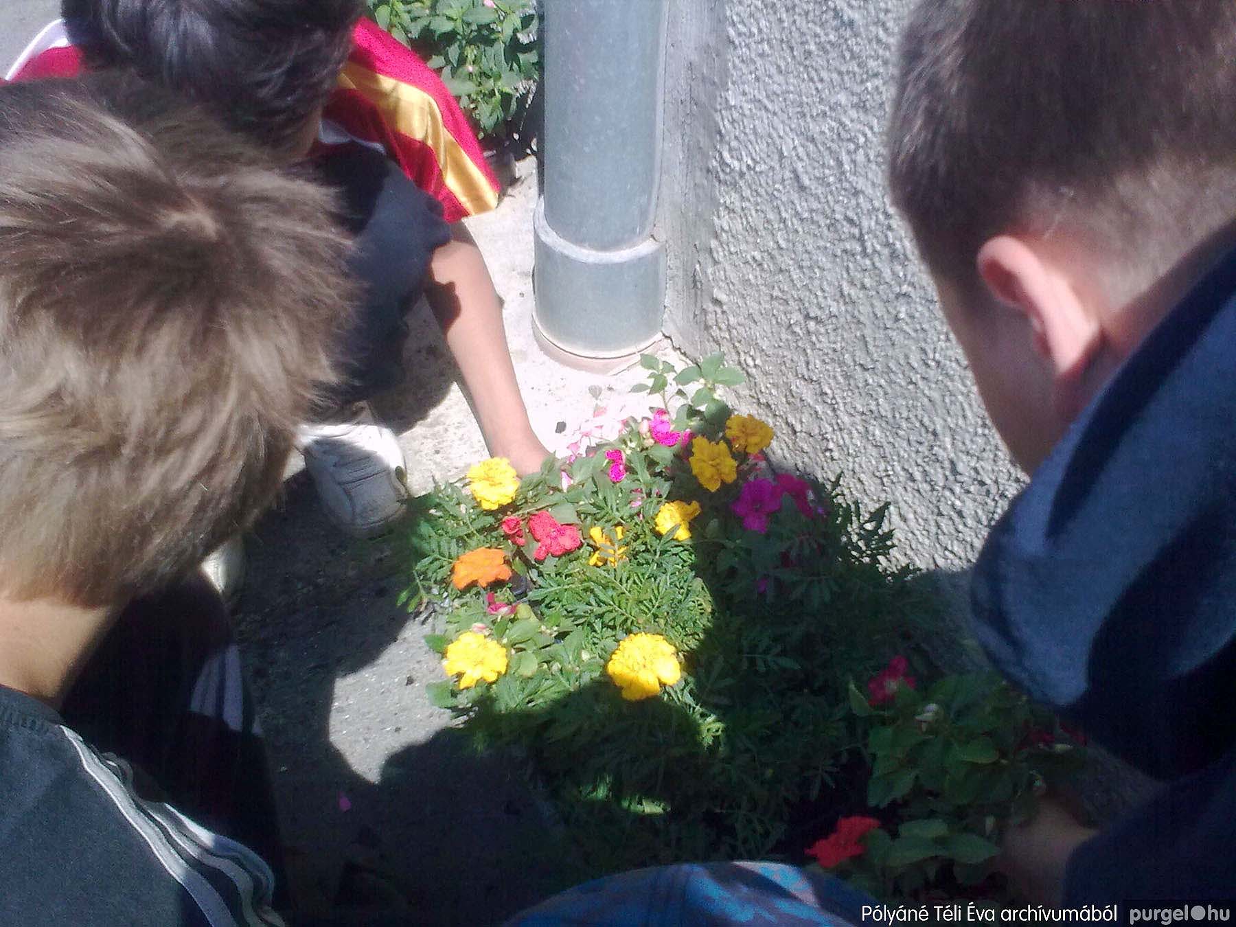 2013.05.14. Virágültetés - PÓLYÁNÉ TÉLI ÉVA archívumából