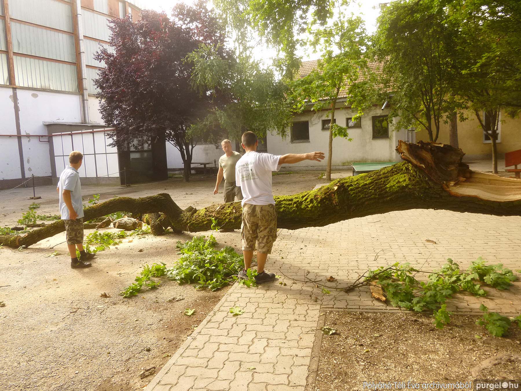 2016.06.15. Utolsó nap - PÓLYÁNÉ TÉLI ÉVA archívumából